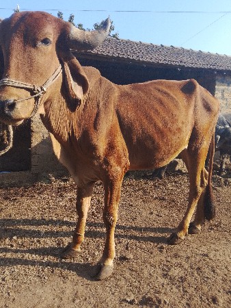 थंबनेल 3