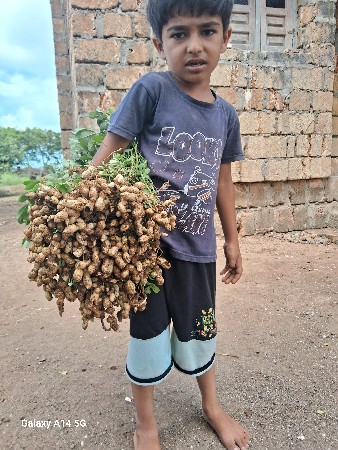 39 nmbar mandvi biyaran