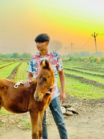 थंबनेल 3