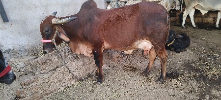 थंबनेल 3