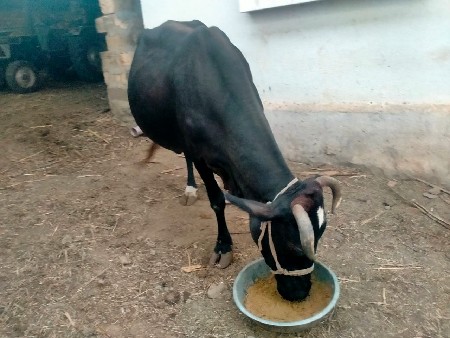 થંબનેલ 3