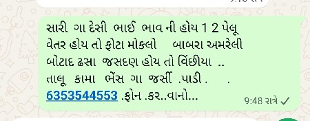 ગા ભેંસ જર્સી ગા પાડી