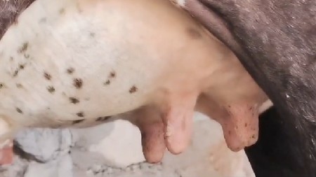 थंबनेल 2