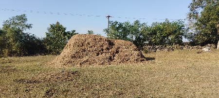 જીવીશ નો સારો છે