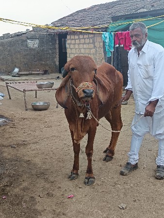 थंबनेल 2