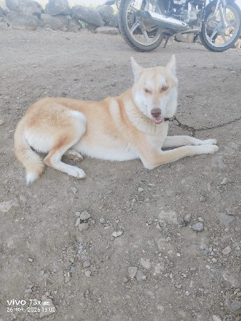 थंबनेल 2