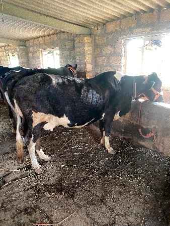 थंबनेल 3