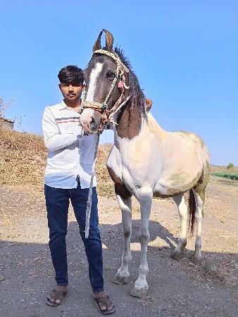 थंबनेल 3