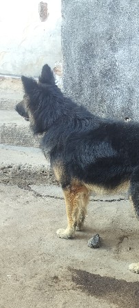 વેસવાનો નથી
મિટિંગ માટે છે