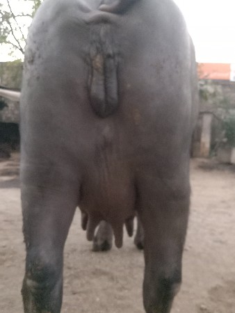 थंबनेल 2