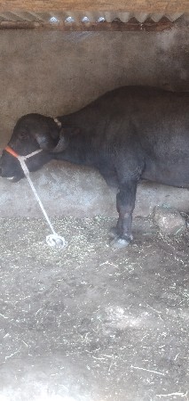 थंबनेल 3