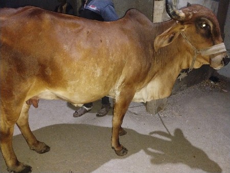 थंबनेल 2