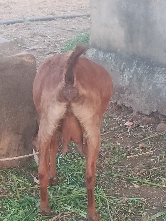 थंबनेल 3