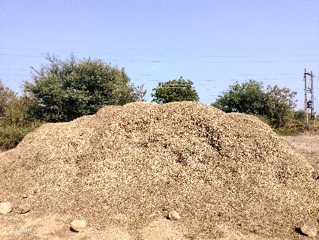 મગફડી નો ભૂકો