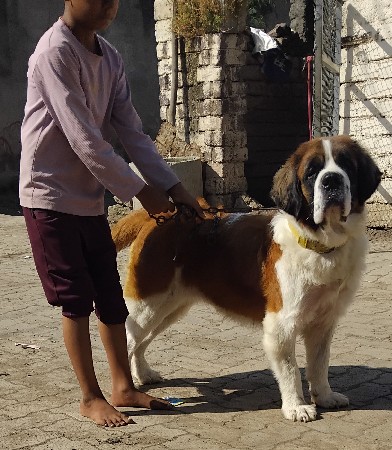 थंबनेल 3