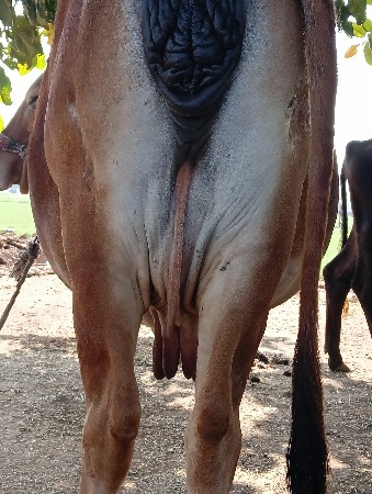 थंबनेल 2