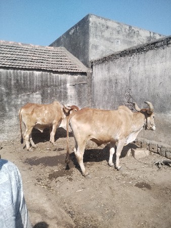 थंबनेल 2