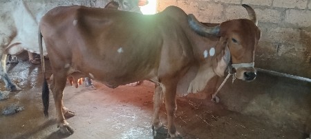 थंबनेल 3