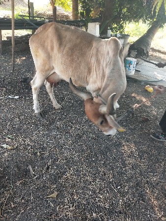 थंबनेल 2