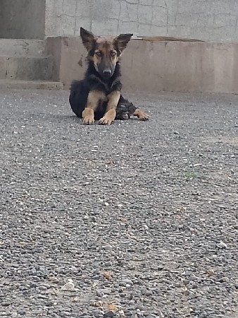 थंबनेल 2