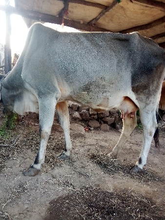 थंबनेल 2