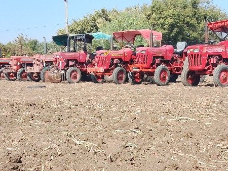 થંબનેલ 5