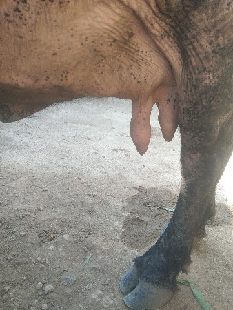 थंबनेल 2