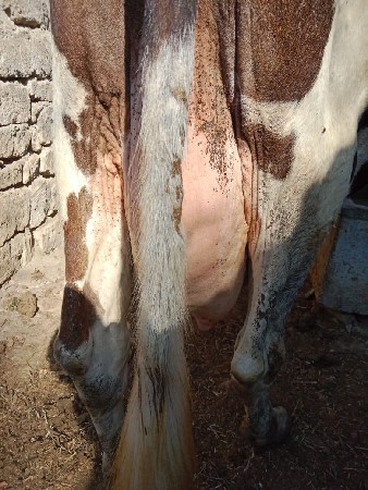 थंबनेल 2