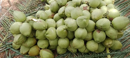 थंबनेल 3