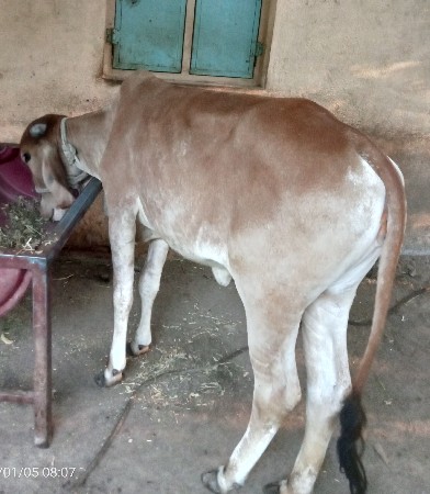 थंबनेल 3