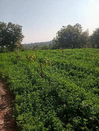 જમીન લેવા માટે કોન્ટેક કરો