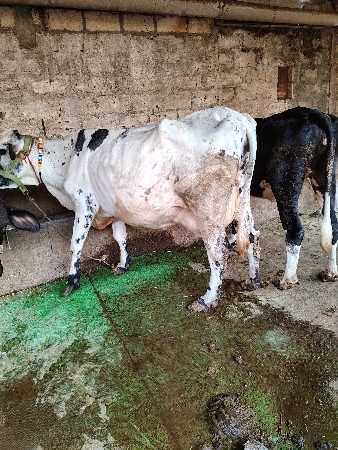 थंबनेल 2