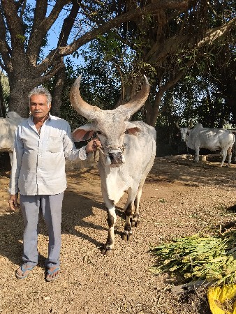 વેચવાના છે