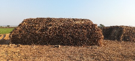 ગુંદરી ની નિરણ વેચવા ની છે