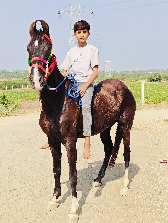 थंबनेल 3