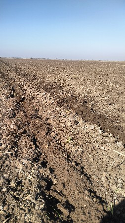 જમીન વેચવાની છે