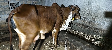 થંબનેલ 3