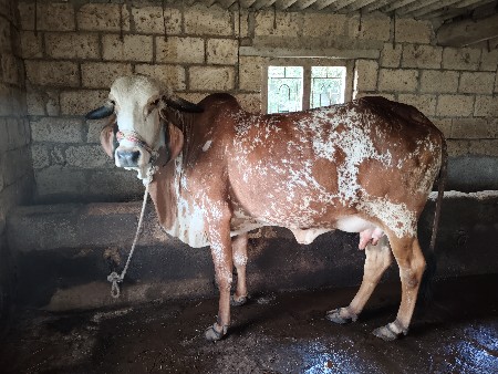 थंबनेल 2