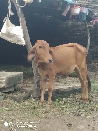 થંબનેલ 3