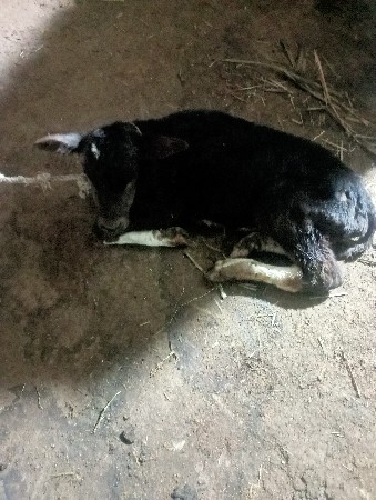 थंबनेल 2