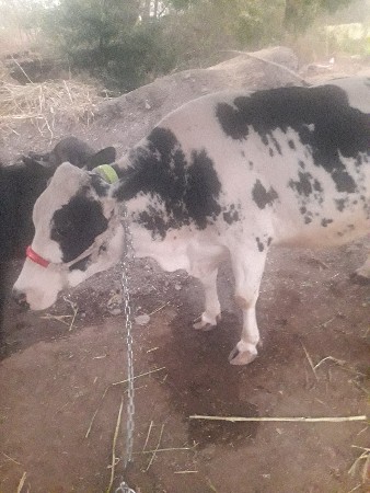 थंबनेल 2