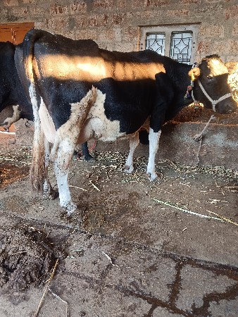 थंबनेल 3