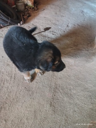 થંબનેલ 2