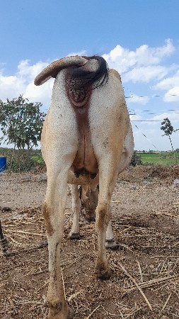 थंबनेल 2