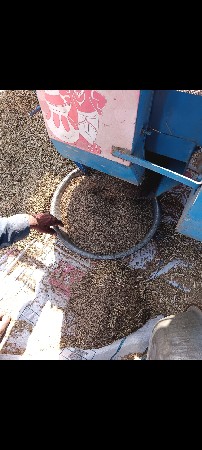 થેસર બાલાજી