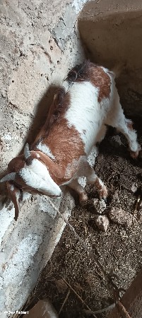 थंबनेल 2