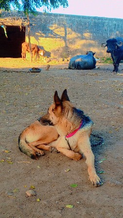 થંબનેલ 2