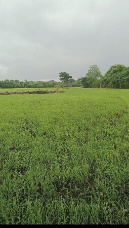 જમીન વેચવાની સે