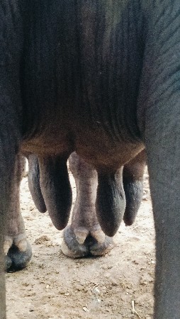 थंबनेल 2