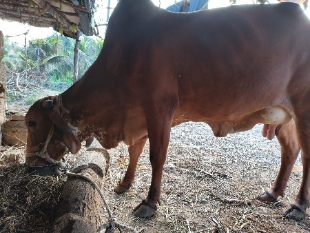 थंबनेल 2